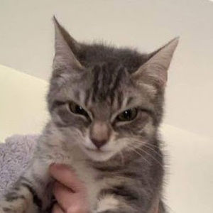 Meet your Posher, Aksel